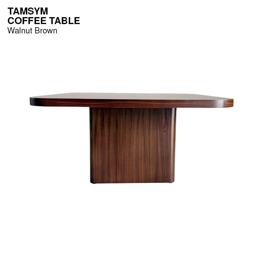 Tamsym Coffee Table - Image 8