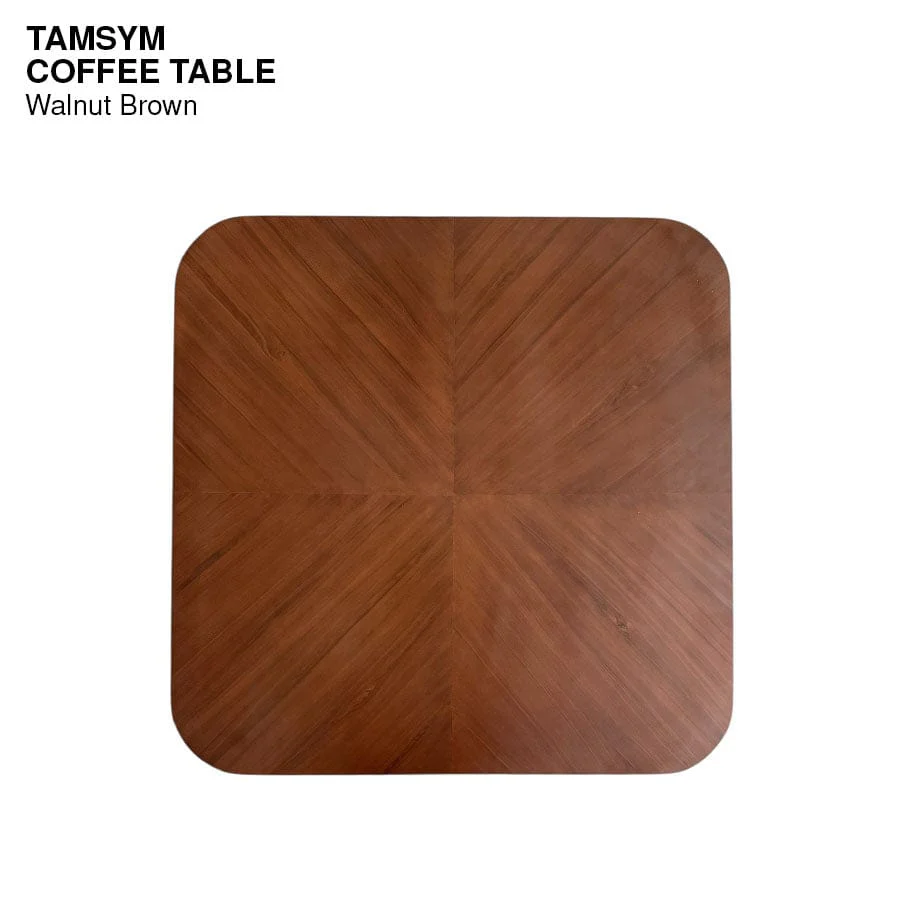 Tamsym Coffee Table - Image 9