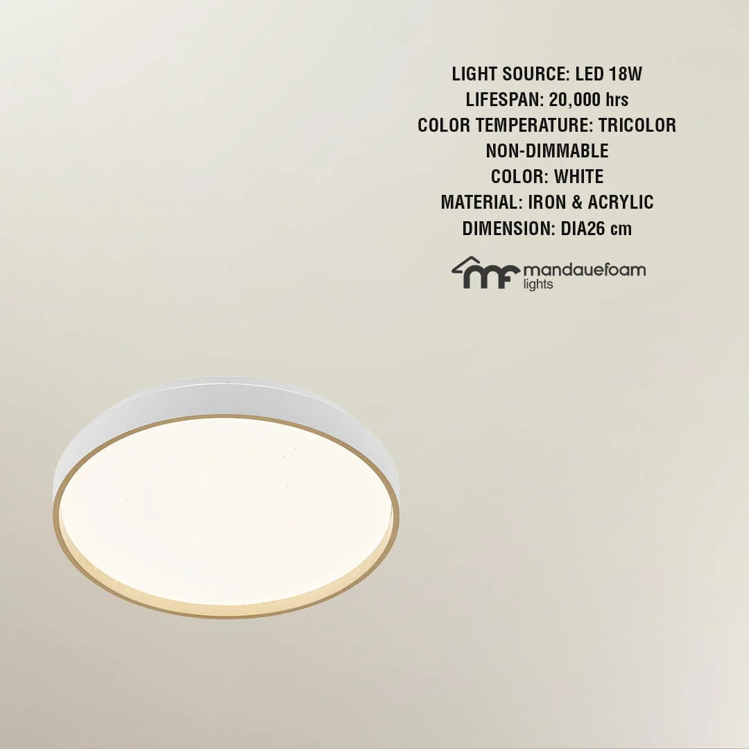 Peton Flush Mount Light - Image 3